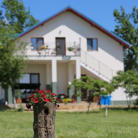 Pensiunea Palaghia Журіловка Екстер'єр фото